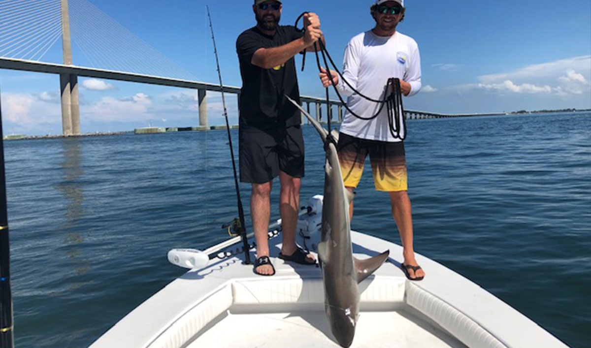 The BBI team catching a shark with Michael Fulmer.